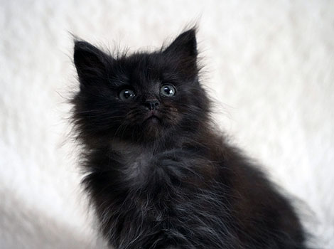 Penelope am 3. Mai 2025